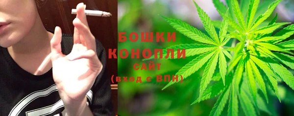 молекула духа Белокуриха